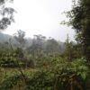 Sendero Al Río Teusacá – Bioparque Casa Colibrí – Vereda El Verjón de Teusacá