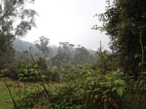 Sendero Al Río Teusacá – Bioparque Casa Colibrí – Vereda El Verjón de Teusacá