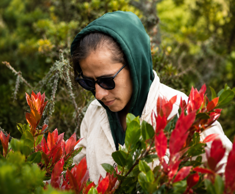 Lo Ancestral en la Naturaleza: Ecoturismo y Cultura en Bogota