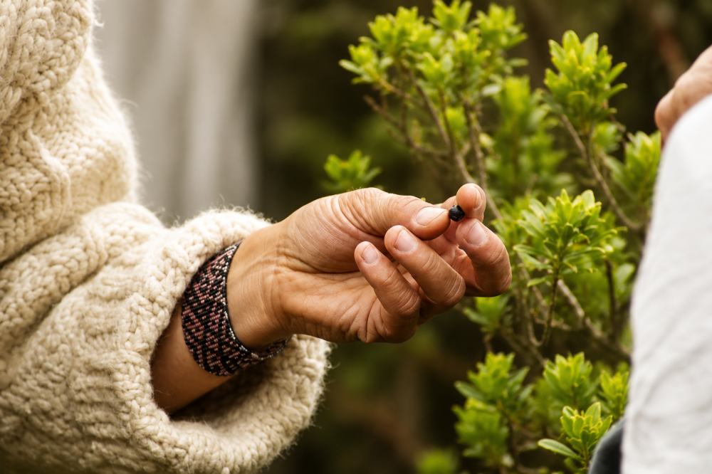 Lo Ancestral en la Naturaleza: Ecoturismo y Cultura en Bogota
