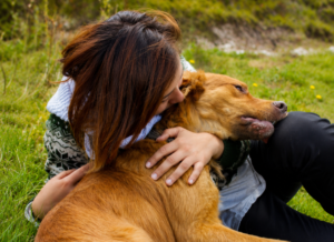 Aventura Canina: Senderismo con Perros y Mascotas en Bogota