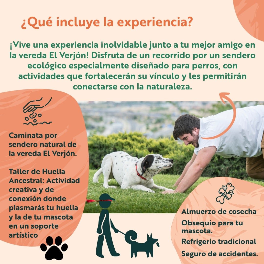 Aventura Canina: Senderismo y Conexión en la Montaña - Imagen 4