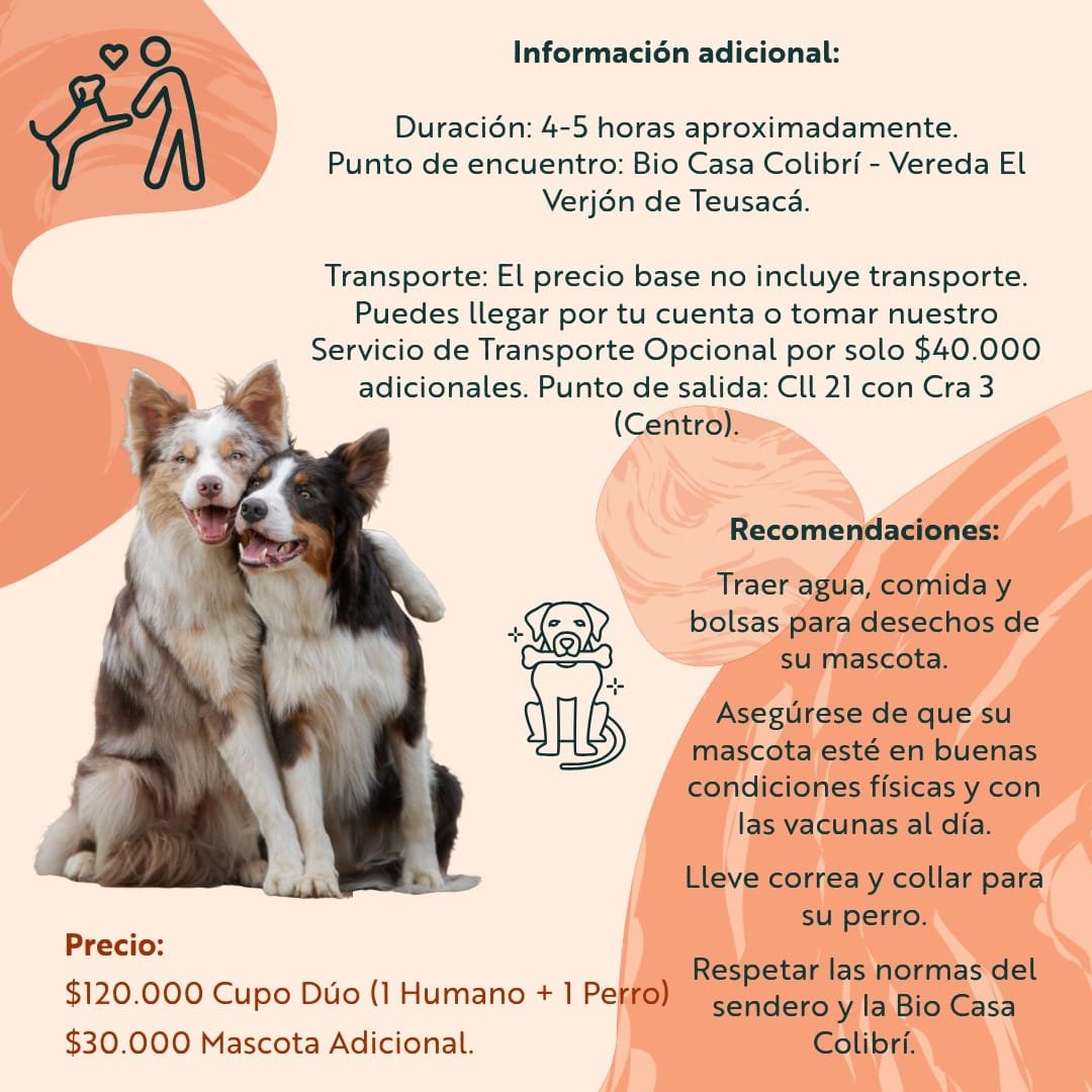 Aventura Canina: Senderismo y Conexión en la Montaña - Imagen 5