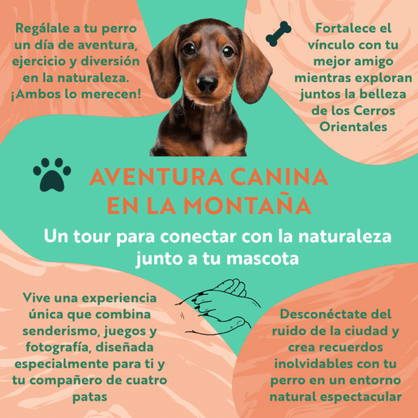 Tour con Mascotas en Bogotá: Aventura Canina