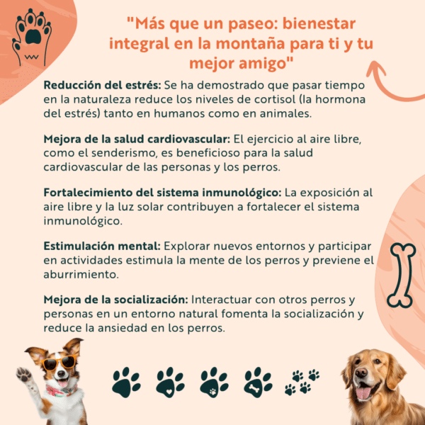 Tour con Mascotas en Bogotá: Aventura Canina - Imagen 2