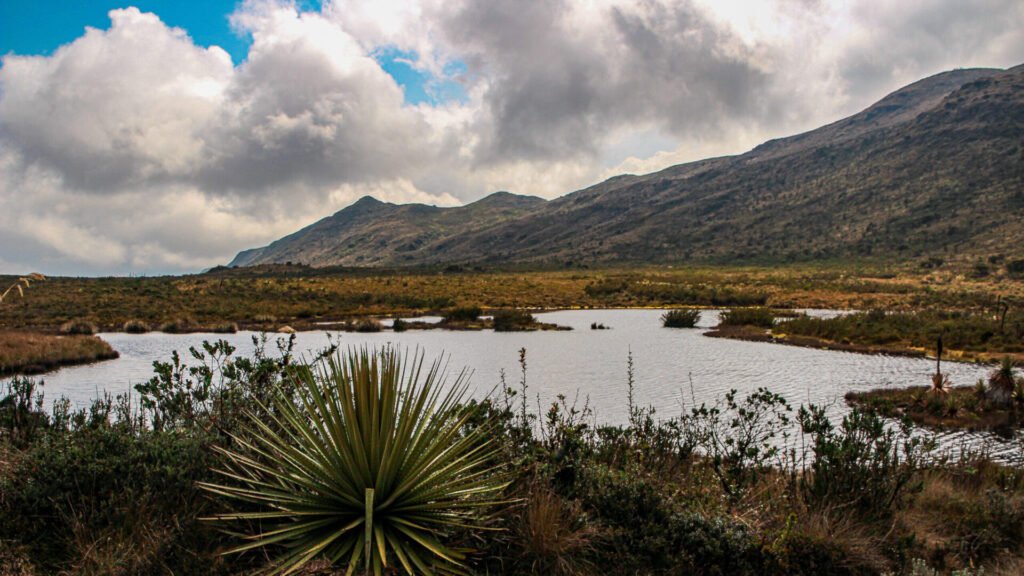 Caminatas ecológicas infantiles en la Laguna de Teusacá para cumpleaños en la naturaleza