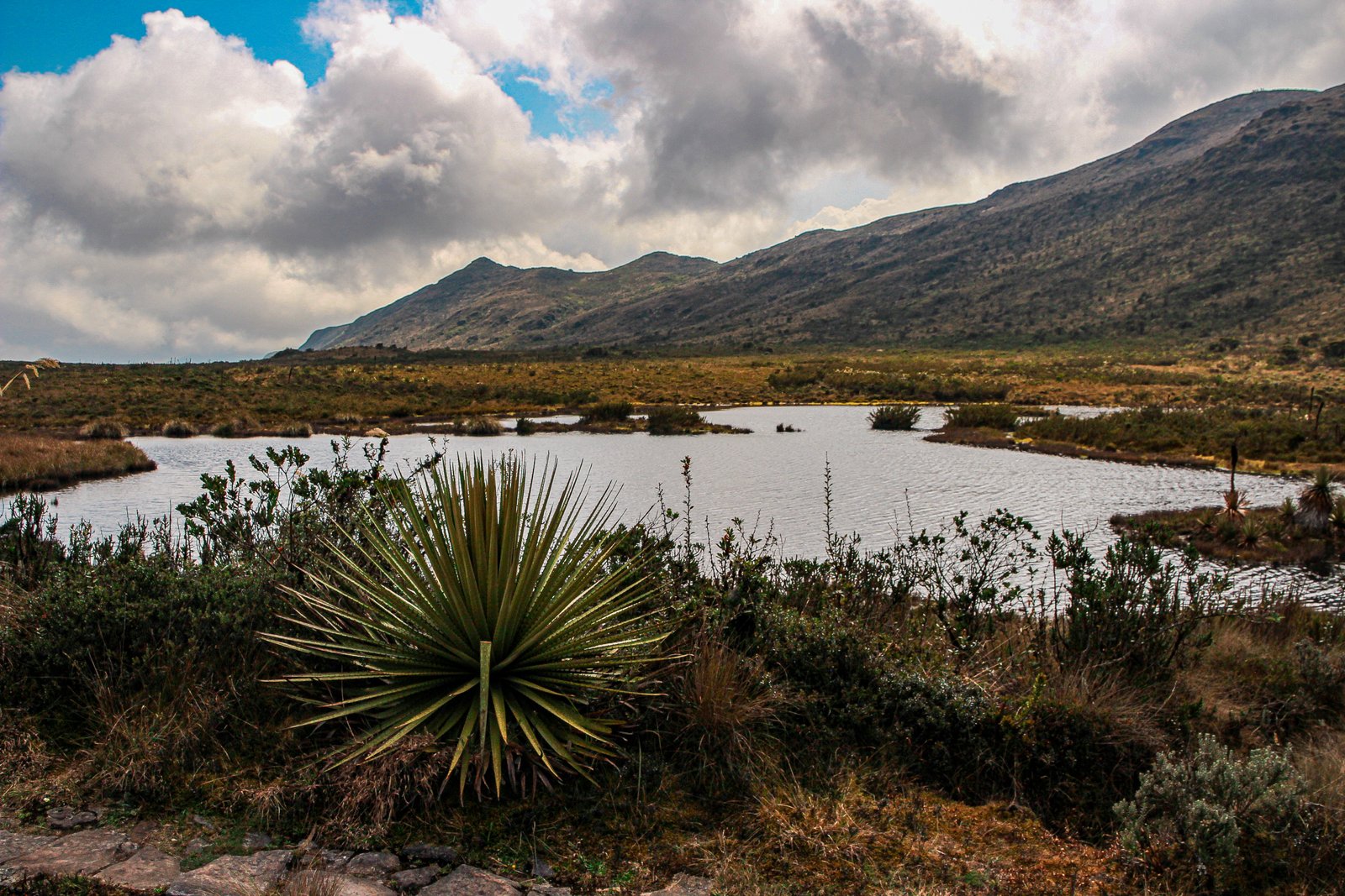 Ecosistema de Páramo en la Laguna de Teusacá